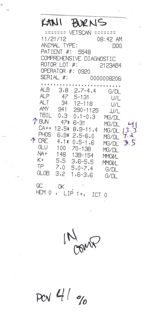 Kani Nov 2012 results 001