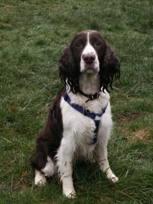 KONICA MINOLTA DIGITAL CAMERA