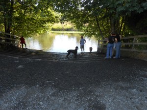 One last longing look