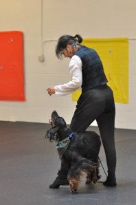 Gael danced to Bill Whelan's "Caracena," a piece from Riverdance.