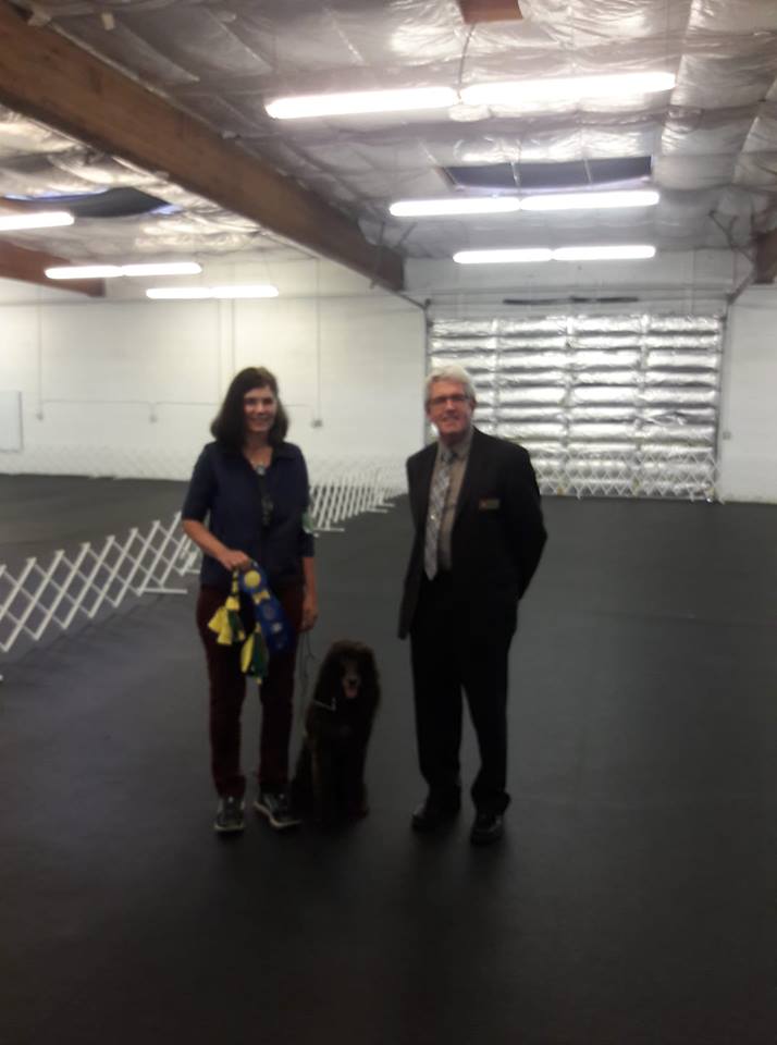 40535917_10210280592246249_3065464707734306816_n