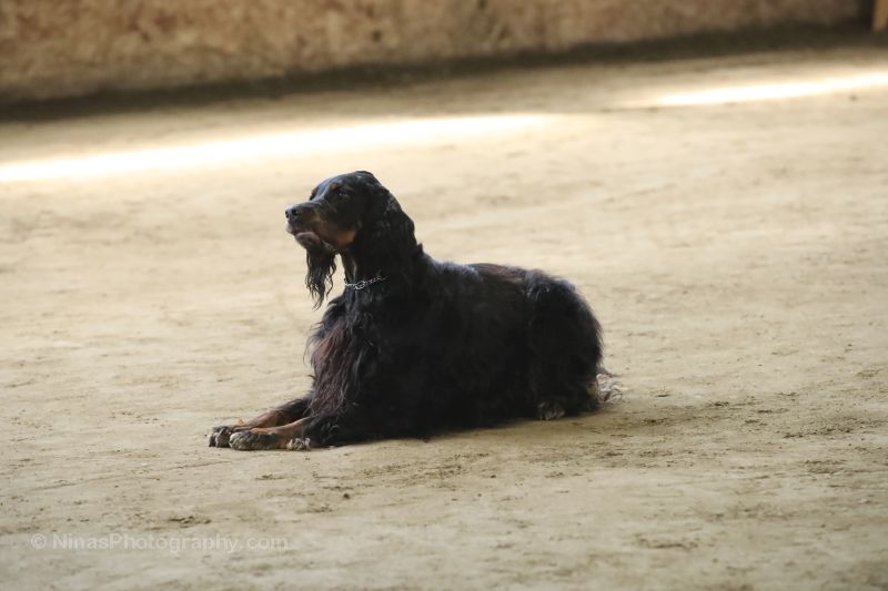 7_1_Pick Any 10!_WM1S1112web